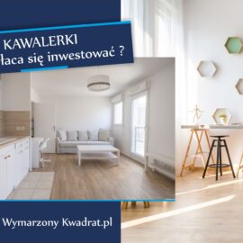 Kawalerki rynek pierwotny